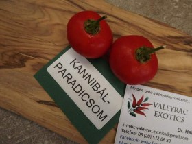 Kannibálparadicsom - Különleges padlizsánok az Egzotikus Növények Stúdiója kínálatából